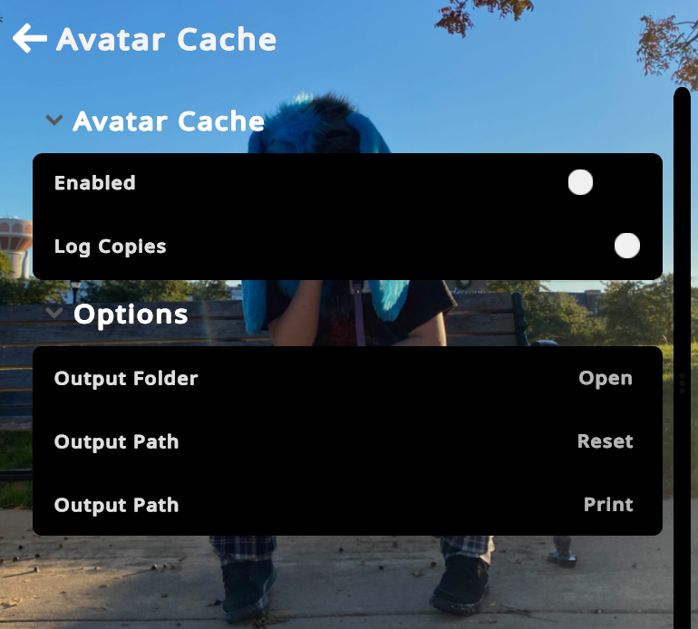 Avatar Cache